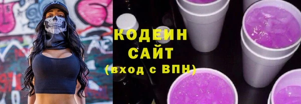 прущий лед Алзамай