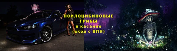 прущий лед Алзамай