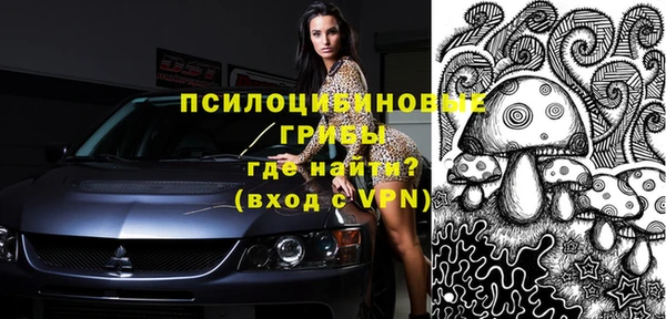 прущий лед Алзамай