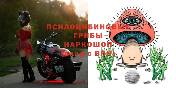 МДПВ Алексин