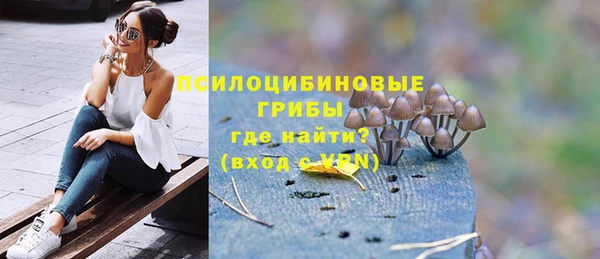 МДПВ Алексин